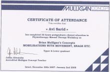 פיזיותרפיה-מאליגן