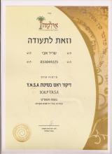 דיקור ראש YNSA